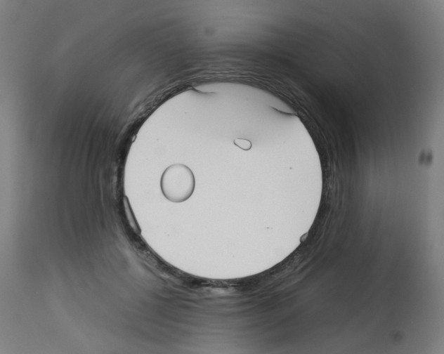 X0000113010552200910081225