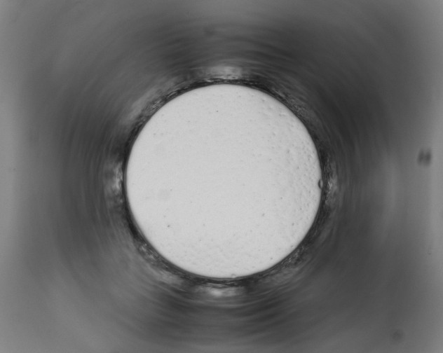 X0000113010555200910081225