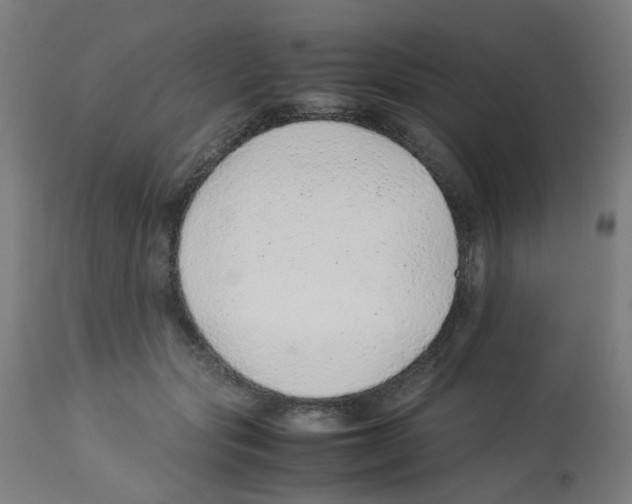 X0000113010557200910081225