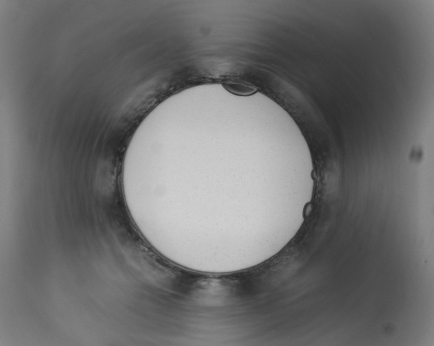 X0000113010558200910081225