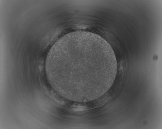 X0000113010559200910081225