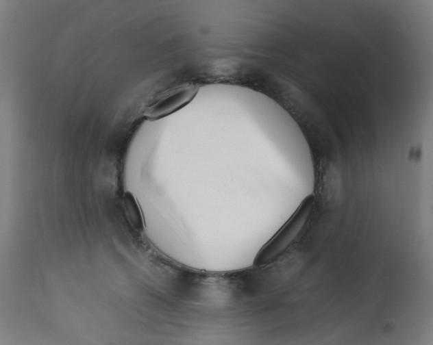 X0000113010562200910081225
