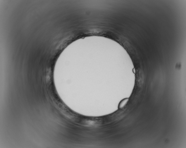 X0000113010563200910081225