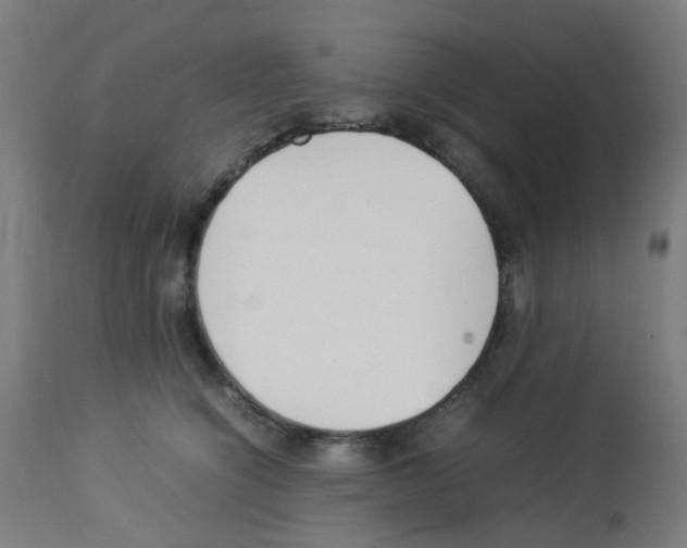 X0000113010564200910081225