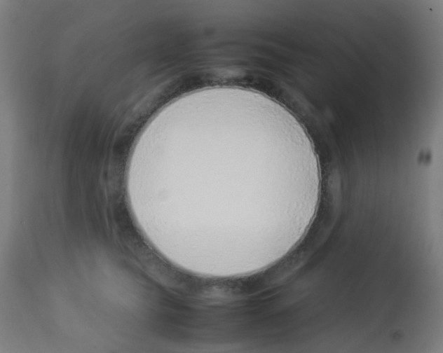 X0000113010565200910081225