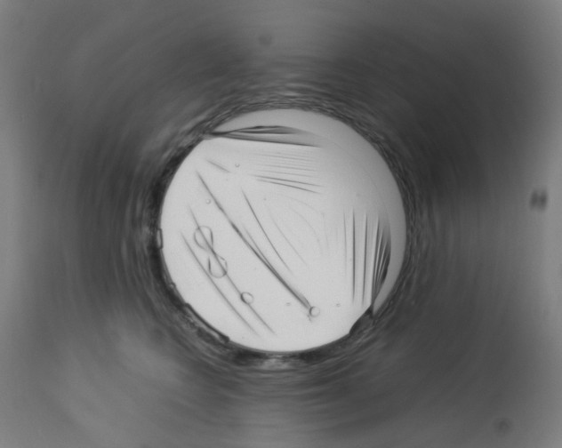 X0000113010566200910081225