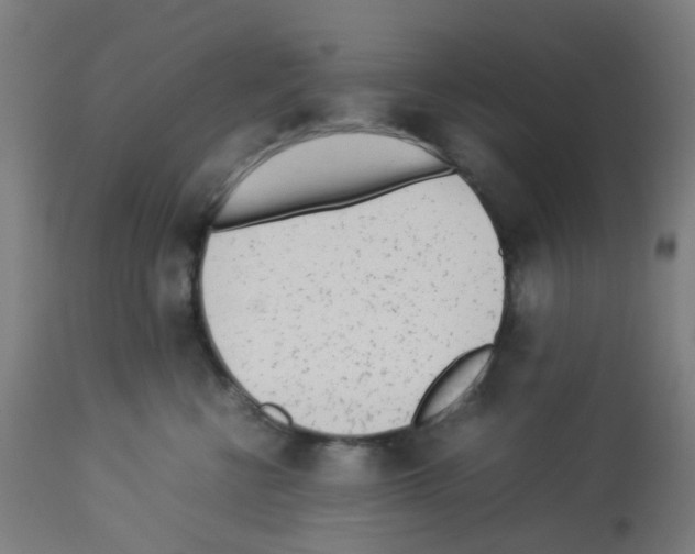 X0000113010570200910081225