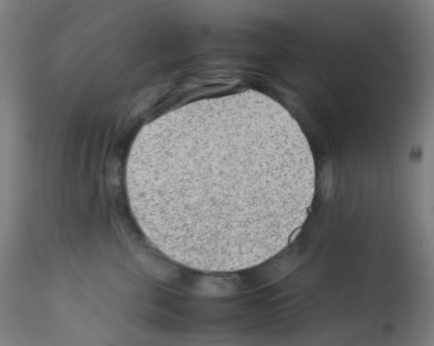 X0000113010571200910081225