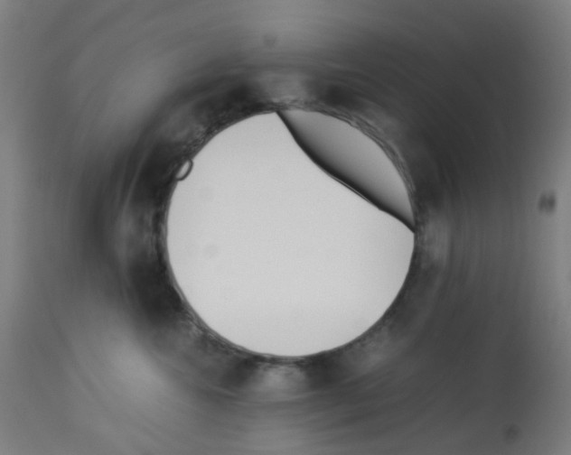 X0000113010572200910081225
