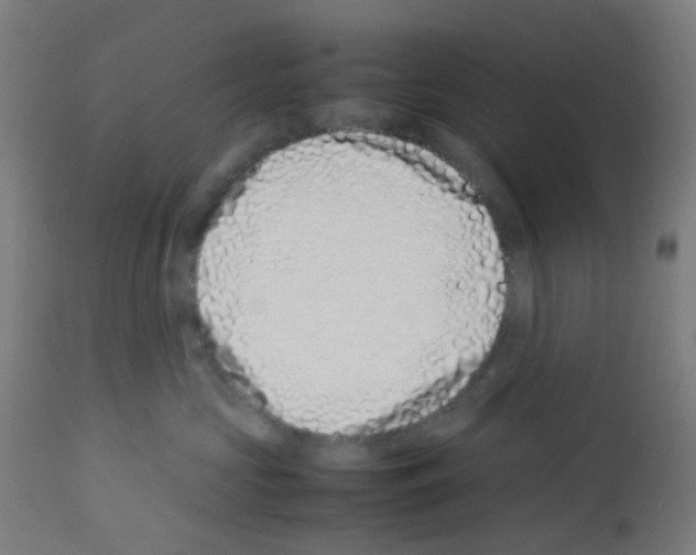 X0000113010573200910081225