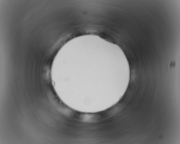 X0000113010575200910081225