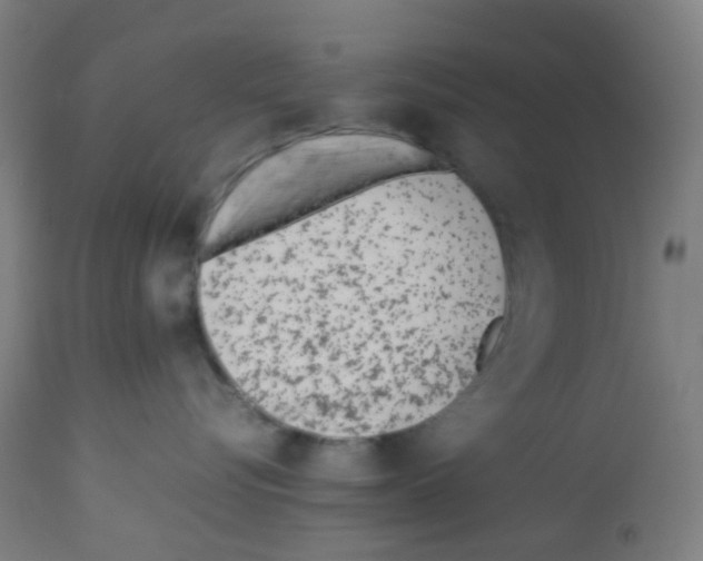 X0000113010576200910081225
