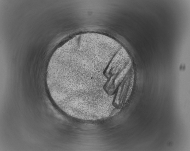 X0000113010577200910081224