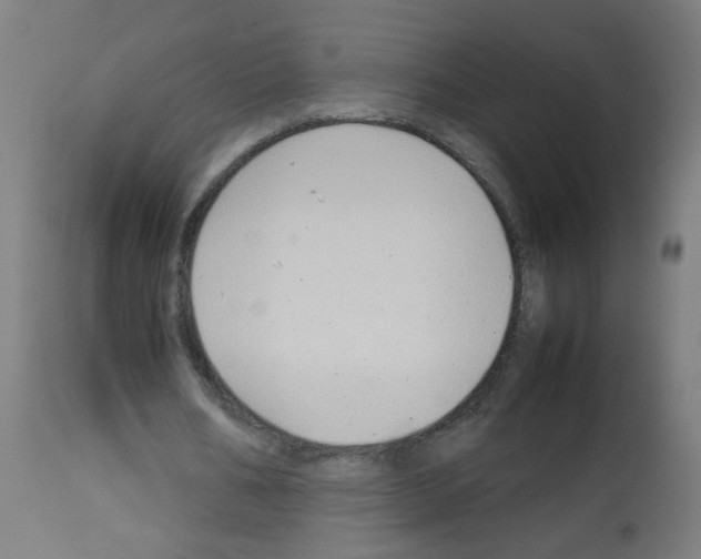X0000113010578200910081224