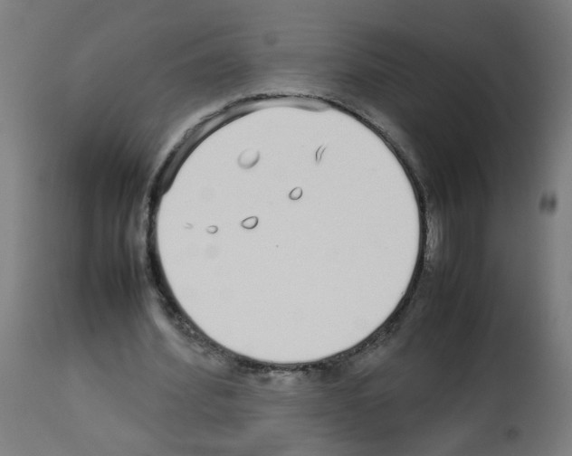X0000113010580200910081224