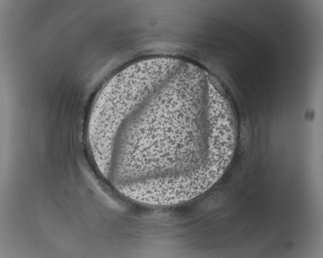 X0000113010581200910081224