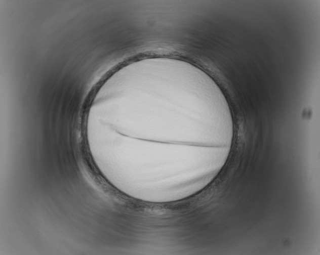 X0000113010582200910081224
