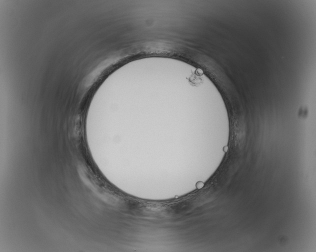 X0000113010583200910081224