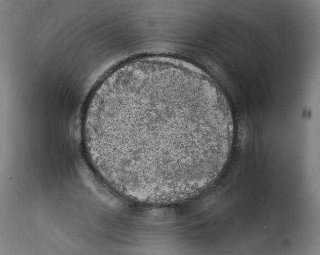 X0000113010584200910081224