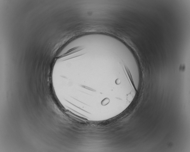 X0000113010585200910081224