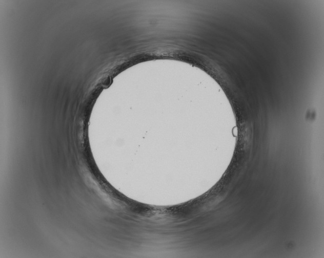 X0000113010589200910081224