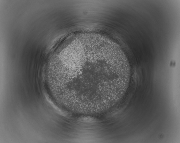 X0000113010590200910081224