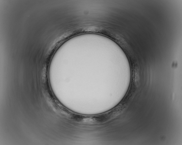 X0000113010591200910081224