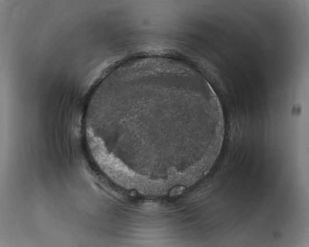 X0000113010596200910081224