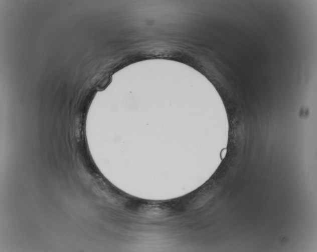 X0000113010597200910081224