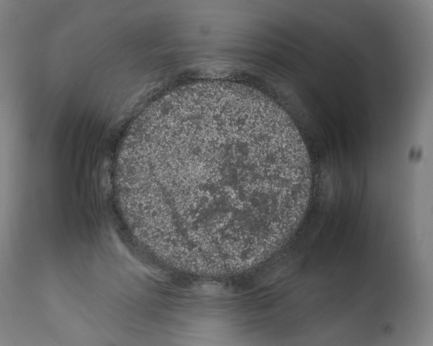X0000113010598200910081224