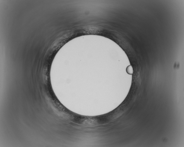 X0000113010599200910081224