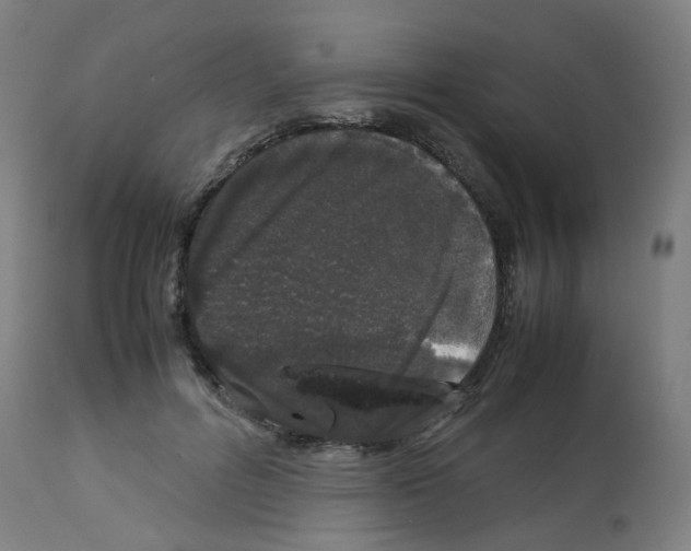 X0000113010600200910081224