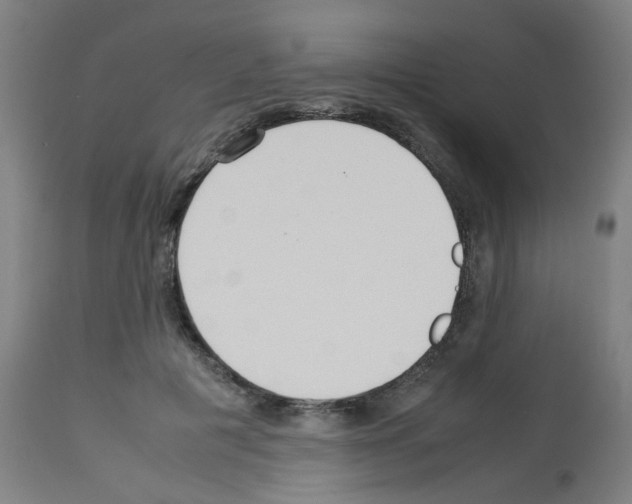 X0000113010601200910081224