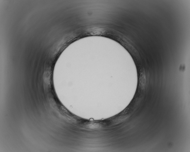 X0000113010604200910081224