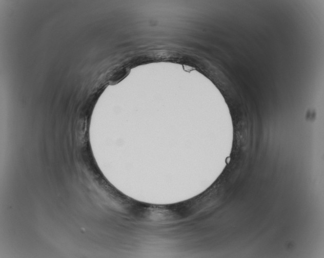 X0000113010605200910081224