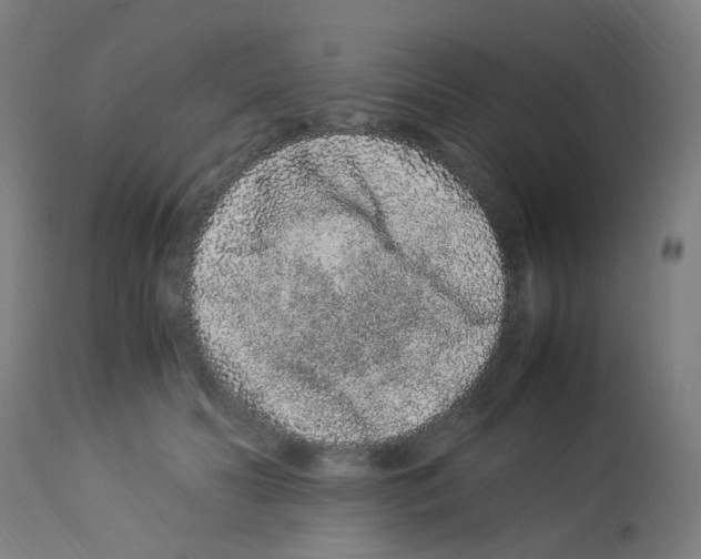 X0000113010606200910081224