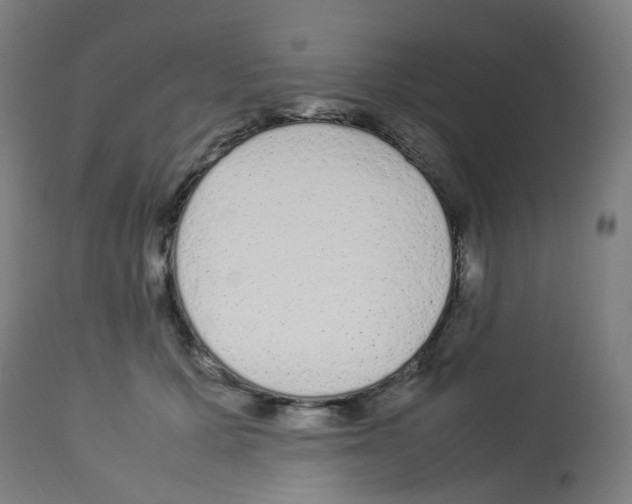 X0000113010607200910081224