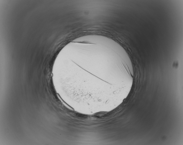 X0000113010609200910081224
