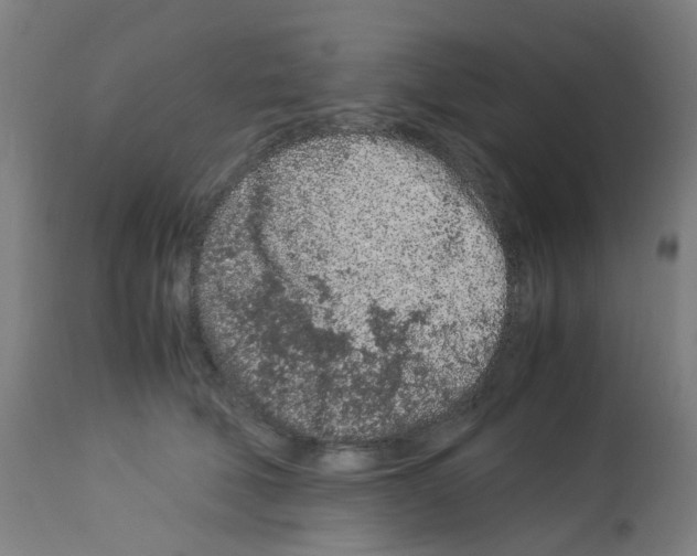 X0000113010610200910081224