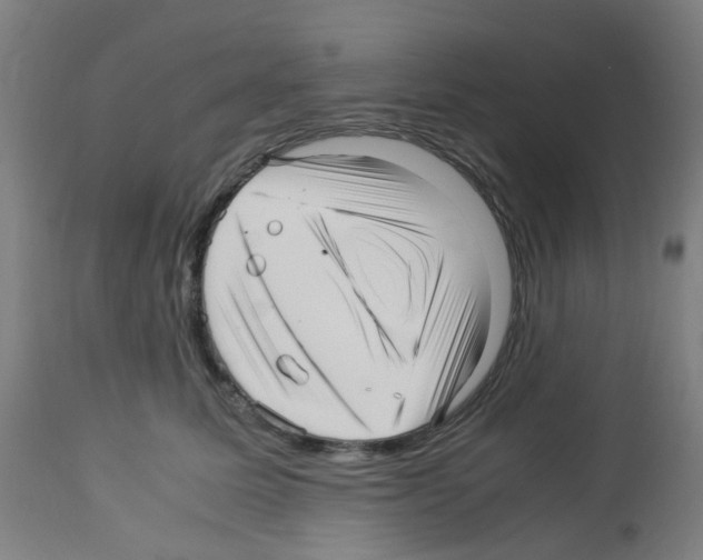 X0000113010611200910081224