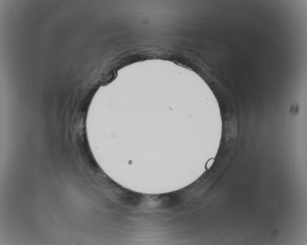 X0000113010613200910081224