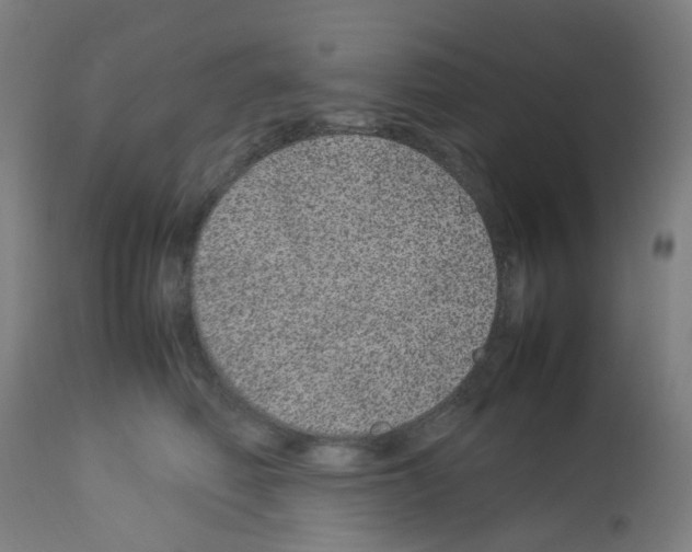 X0000113010614200910081224
