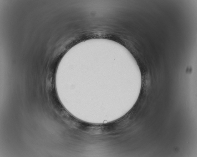 X0000113010615200910081224