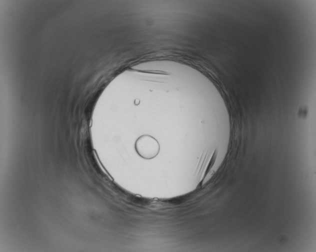 X0000113010617200910081224