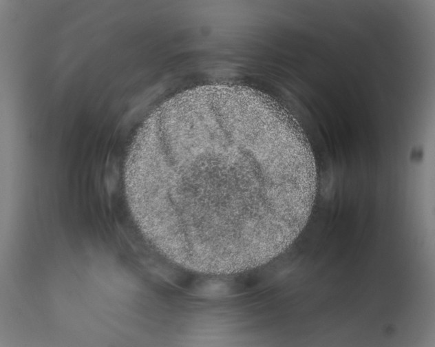 X0000113010618200910081224
