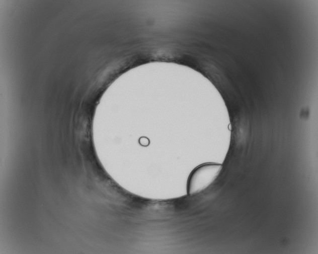 X0000113010619200910081224