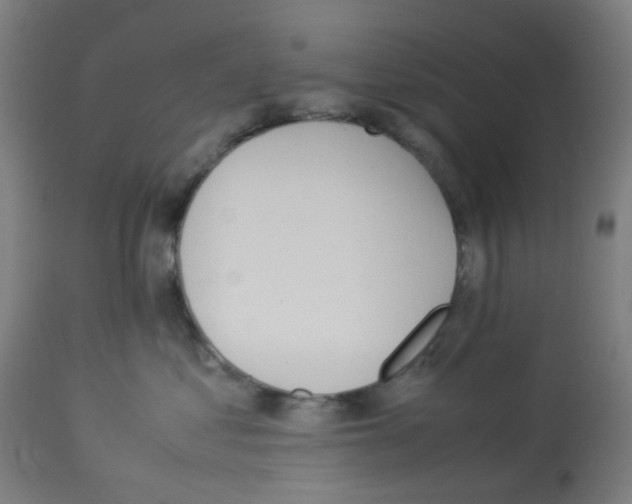 X0000113010621200910081224