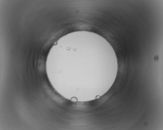 X0000113010622200910081224