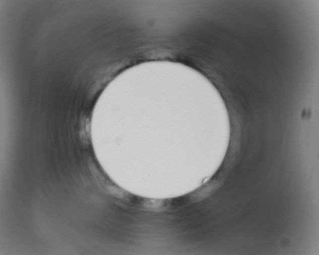 X0000113010624200910081224