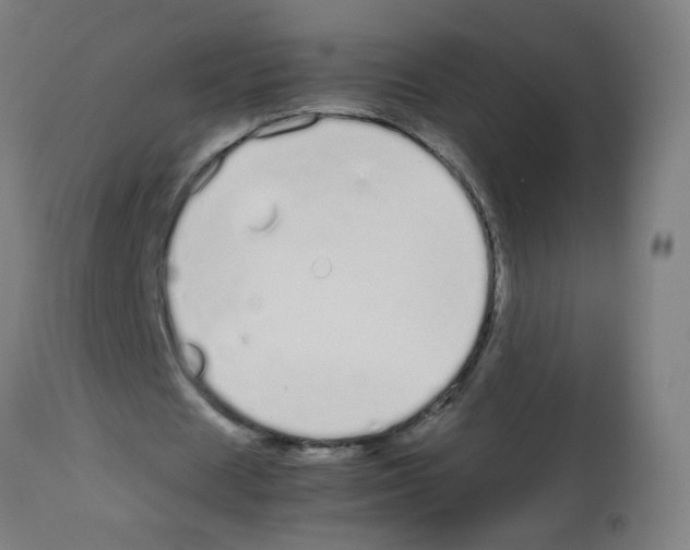X0000113010625200910081223